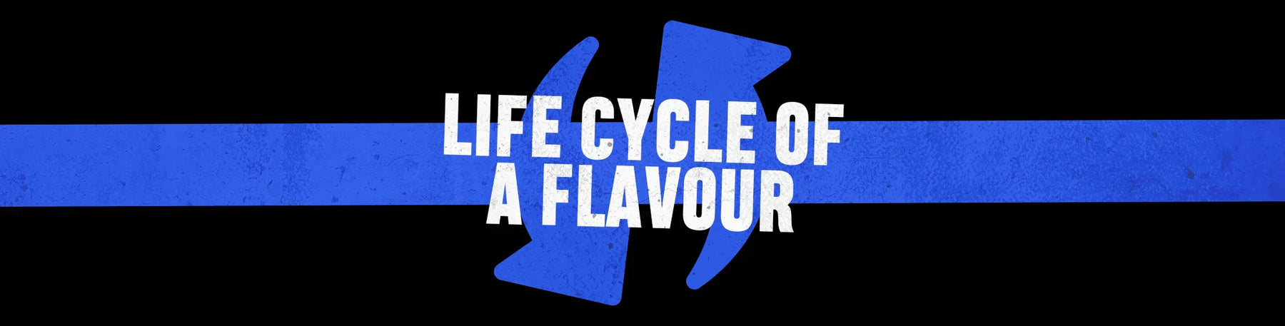 The Life Cycle of a Flavour